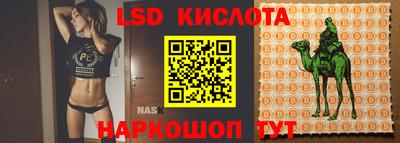 ALPHA-PVP Партизанск