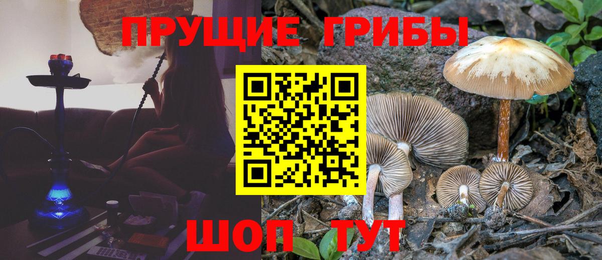 Галлюциногенные грибы ЛСД Протвино