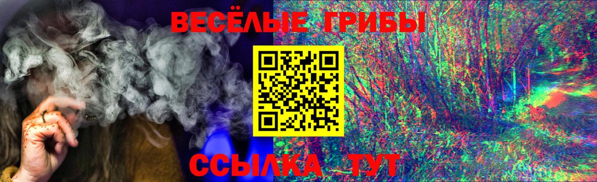 наркотики  Вход с VPN  Протвино  Псилоцибиновые грибы прущие грибы 